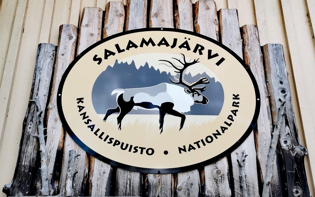 Retkeilyn riemua Salamajärven kansallispuiston lyhyillä rengasreiteillä