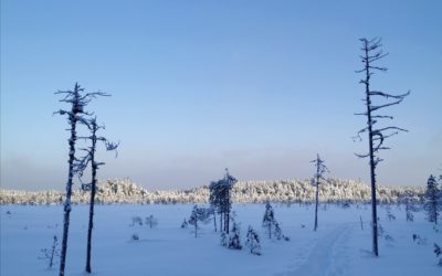 Lumikenkäretki mykistävän kauniiseen Pyhä-Häkin kansallispuistoon
